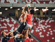 开云平台-海风席卷北美！青岛加时绝杀骑士，福克斯空砍40分成背景