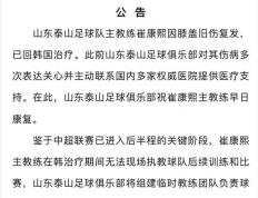开云APP-年轻球员挑大梁，主场绝杀对手