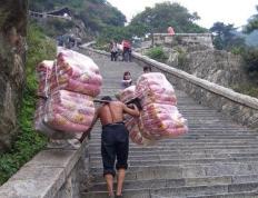 开云体育入口-胜利之路布满荆棘，坚韧精神将决定胜负的简单介绍