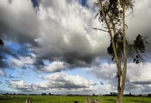 开云体育平台APP-西甲豪门积分榜激战排名不断变化