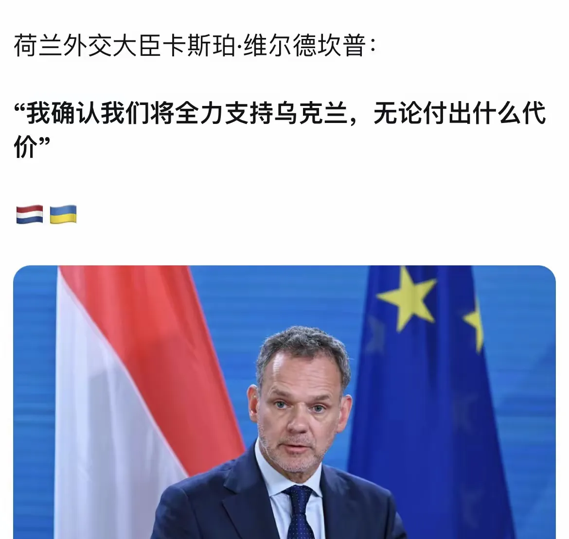 开云体育入口-包含乌克兰队客场战平荷兰，出线形势严峻的词条