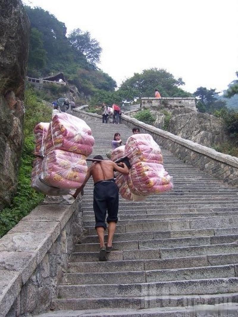 开云体育入口-胜利之路布满荆棘，坚韧精神将决定胜负的简单介绍