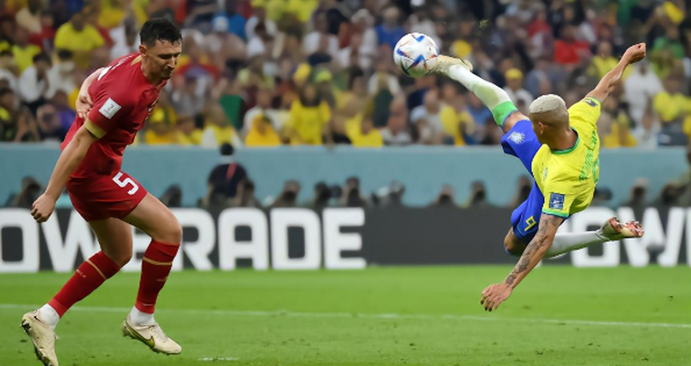 开云下载-包含爱尔兰拳击手势不可挡，夺冠在望的词条