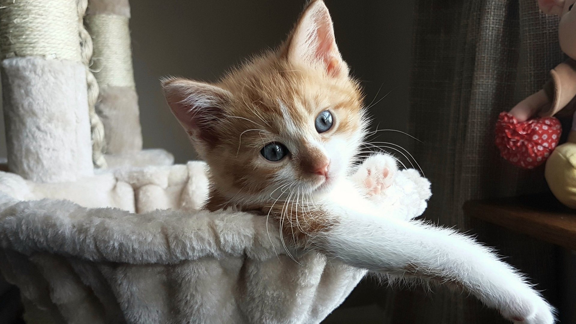 开云体育官方网站-秘鲁对阵雷恩？一场不可能的友谊赛与莫德里奇的降维打击