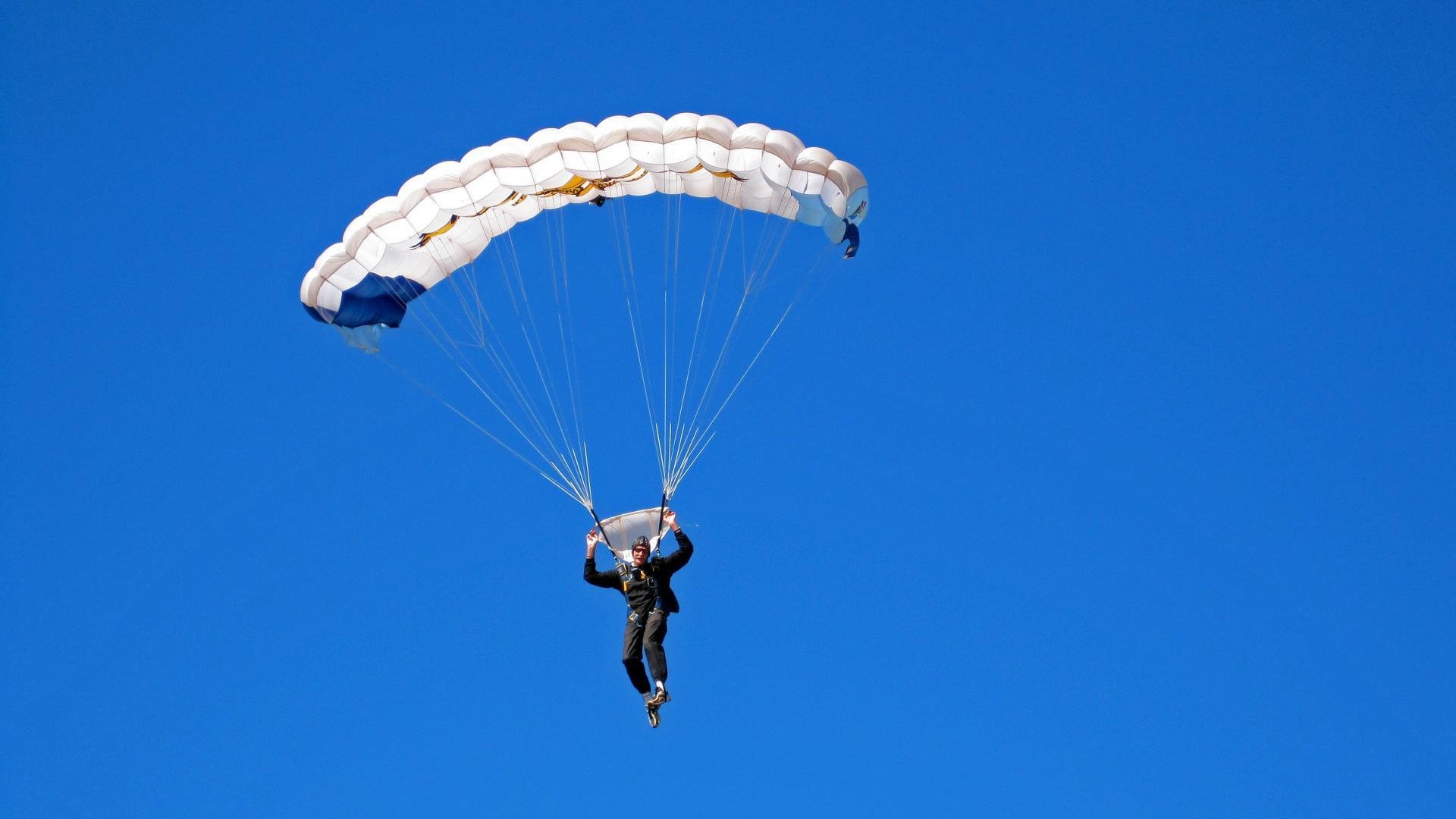开云体育登录-轻取是一种假象,当黄蜂的蛛网勒住步行者的喉咙